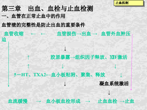 止血与凝血障碍检查