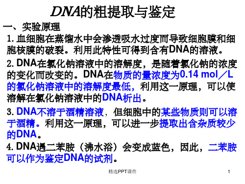 DNA的粗提取与鉴定PCR蛋白质的提取与分离PPT课件