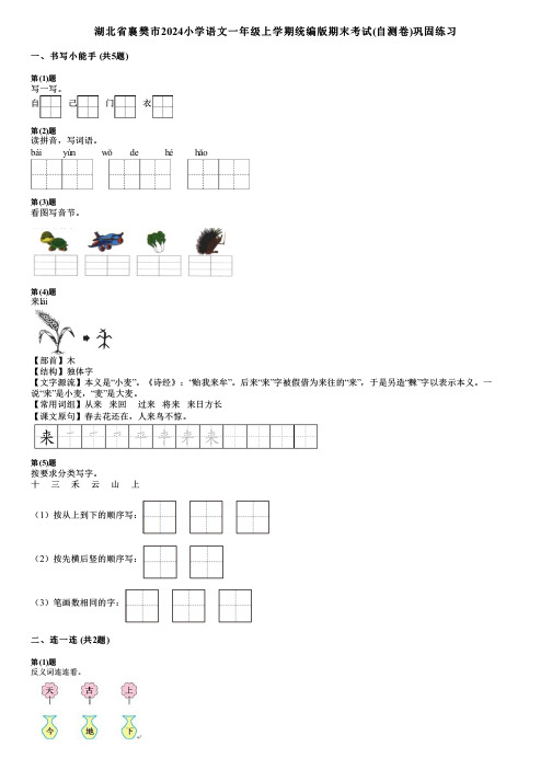 湖北省襄樊市2024小学语文一年级上学期统编版期末考试(自测卷)巩固练习