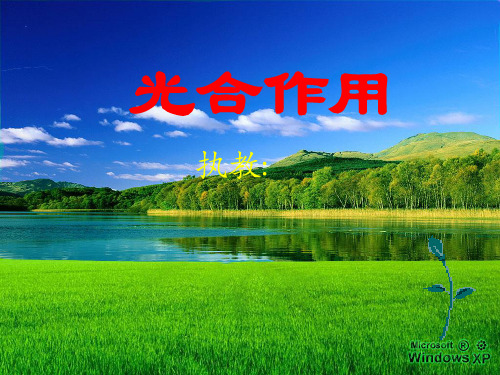 人教版教学课件2010生物高考二轮复习《分子与细胞》专题系列课件《能量之源--光与光合作用》
