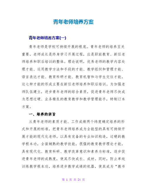 青年教师培养计划