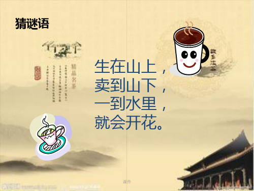 六年级广东版综合实践活动_茶与生活.ppt