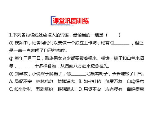 高中语文必修1教学课件：第一单元 第3课  课堂巩固训练