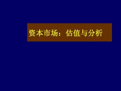 资本市场：估值与分析