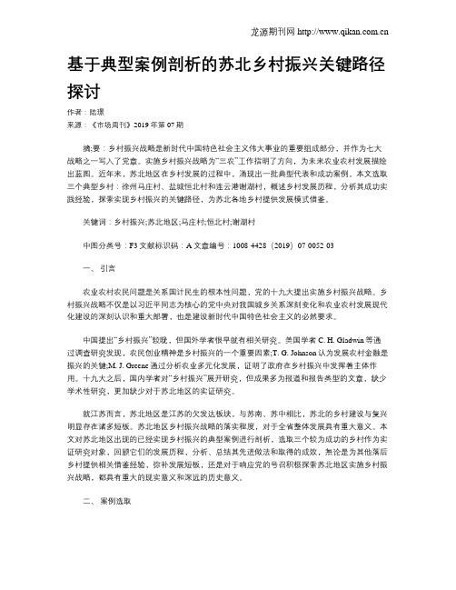 基于典型案例剖析的苏北乡村振兴关键路径探讨