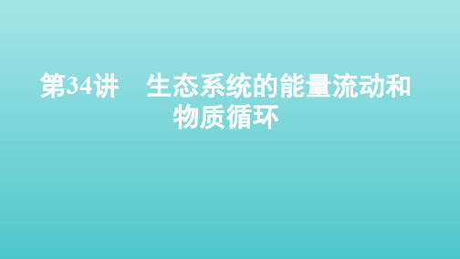 (江苏专用)2020版高考生物总复习第34讲生态系统的能量流动和物质循环课件