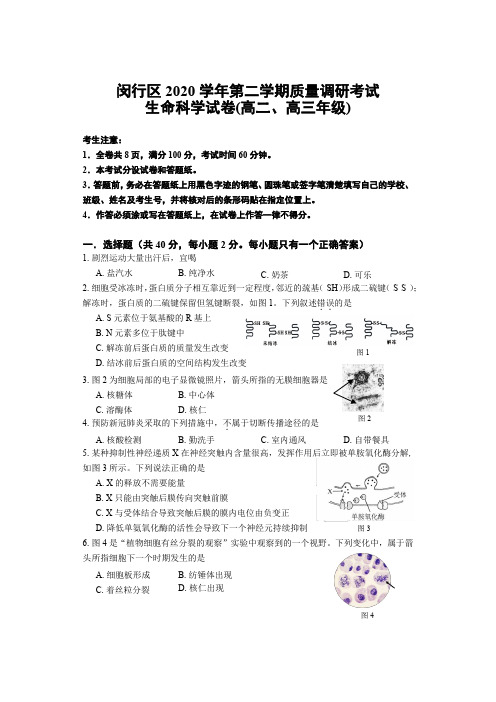 2021年上海市闵行区高中等级考生物二模卷 有解答(2021.04)