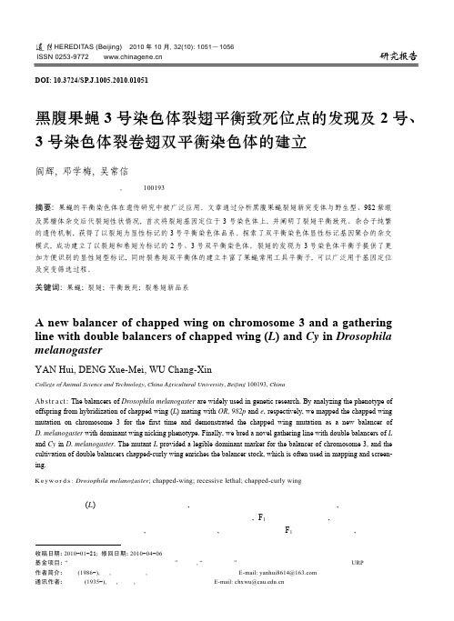 黑腹果蝇 3 号染色体裂翅平衡致死位点的发现及 2 号、 号