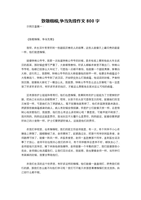 致敬楷模,争当先锋作文800字