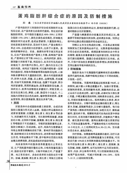 蛋鸡脂肪肝综合症的原因及防制措施