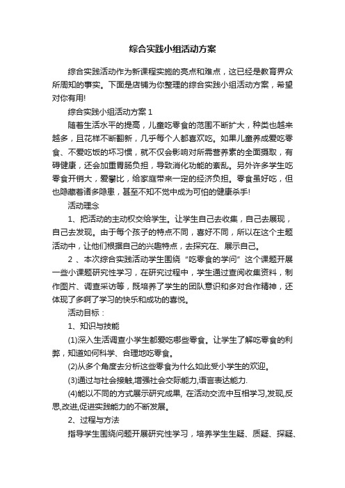 综合实践小组活动方案