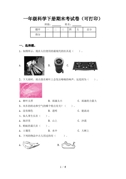 一年级科学下册期末考试卷(可打印)