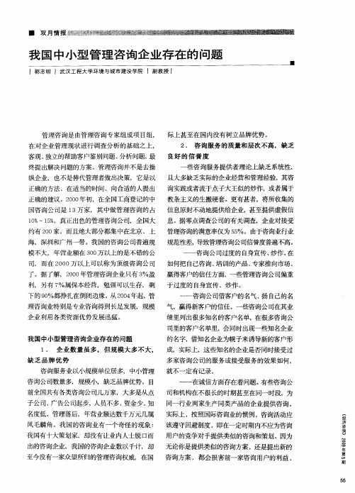 我国中小型管理咨询企业存在的问题