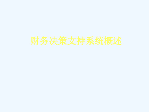 财务决策支持系统概述