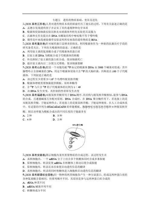 2020年高考生物考题--遗传的物质基础、变异及进化