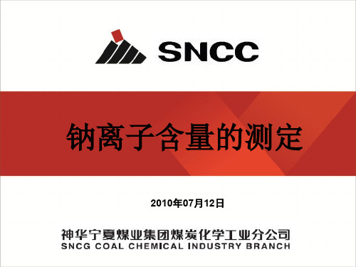 钠离子的测定