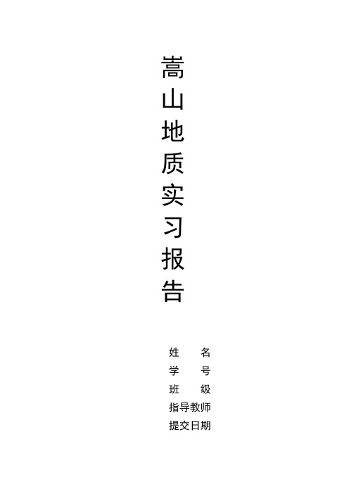 嵩山实习报告