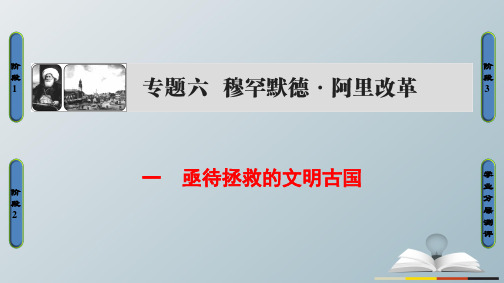 高中历史专题6穆罕默德阿里改革1亟待拯救的文明古国课件人民版选修1