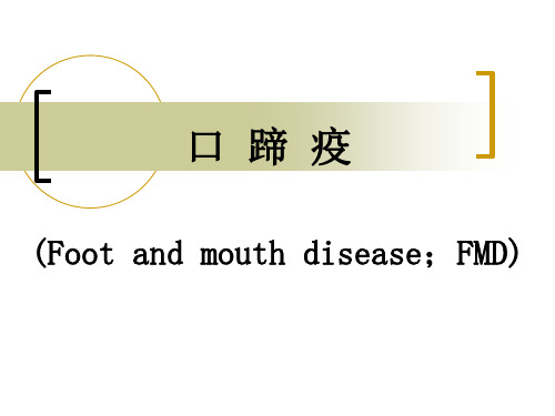 3、口蹄疫