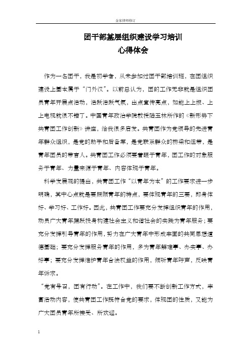 团干部基层组织建设学习心得体会