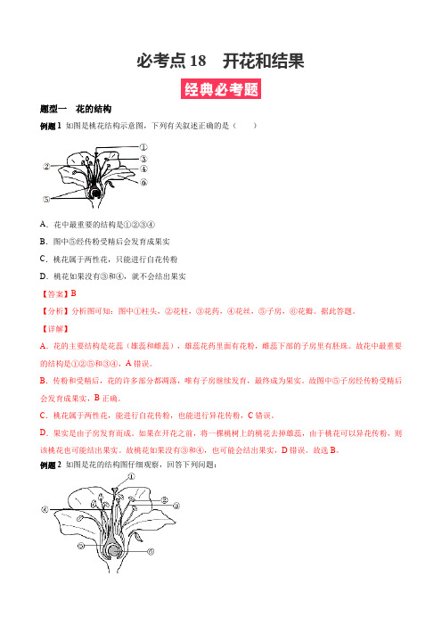 必考点18  开花和结果-(人教版)(解析版)