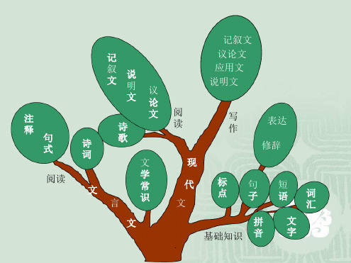 初中语文知识系统梳理思维导图共32张