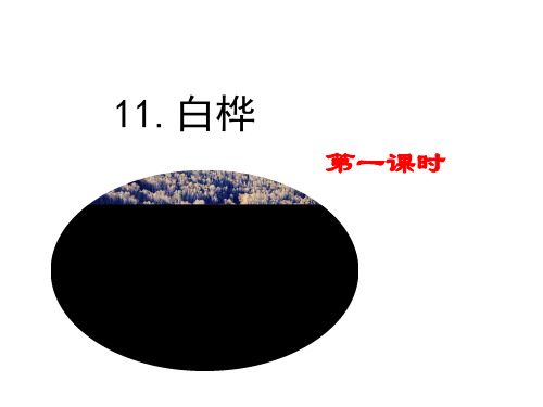 部编四年级语文下册11 白桦课件、初试身手.pptx