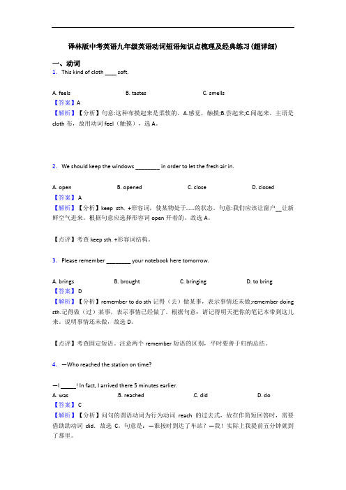 译林版中考英语九年级英语动词短语知识点梳理及经典练习(超详细)