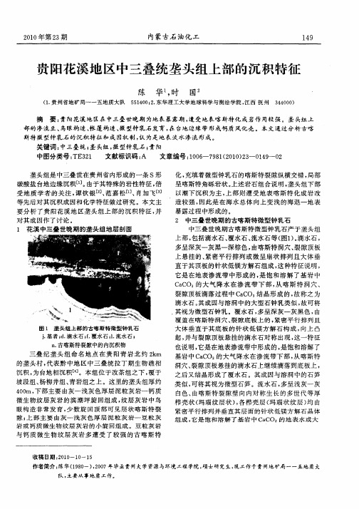 贵阳花溪地区中三叠统垄头组上部的沉积特征