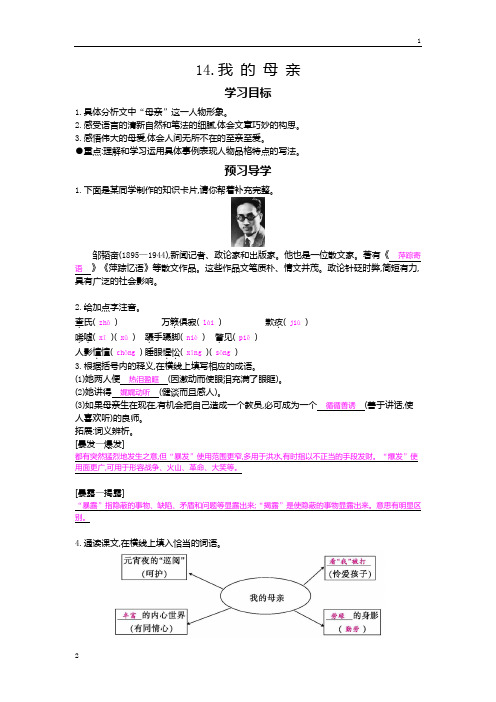 八年级语文上册+第14课+我的母亲+导学案