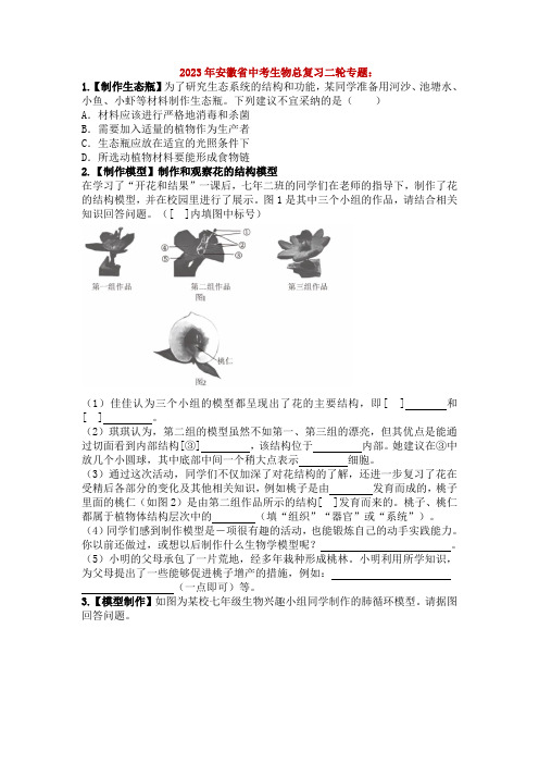 2023年安徽省中考生物总复习二轮专题：跨学科实践(有答案)