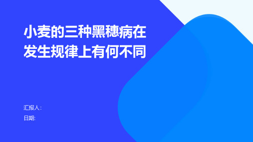 小麦的三种黑穗病在发生规律上有何不同