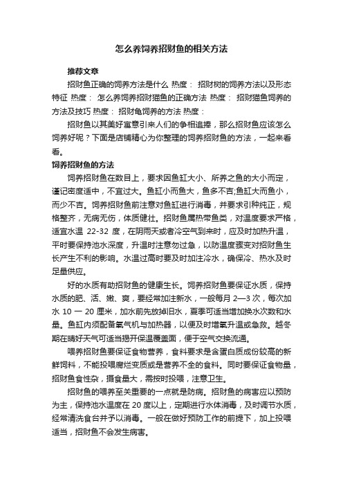 怎么养饲养招财鱼的相关方法