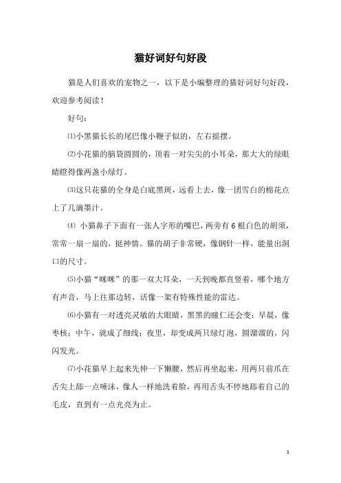 猫好词好句好段