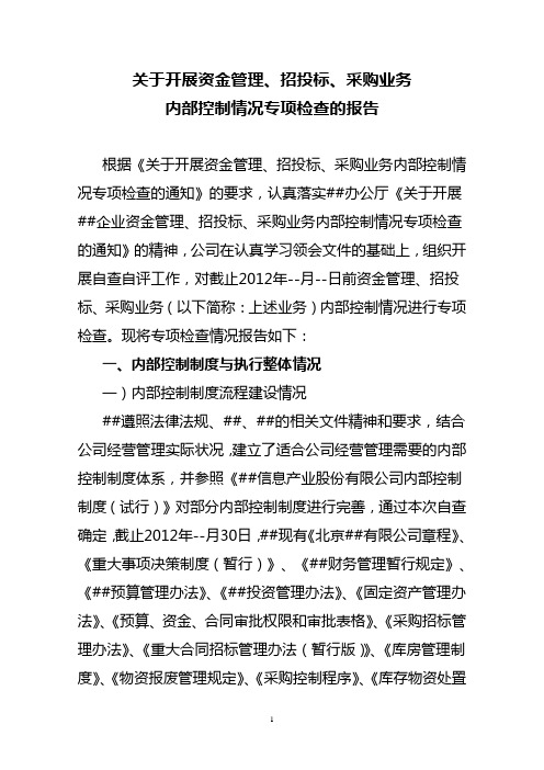 关于资金管理、招投标、采购业务内部控制情况专项检查报告(参考样式)