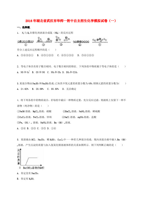 湖北省武汉市华师一附中九年级化学自主招生模拟试题(一)(含解析)