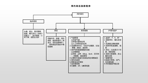 颅内高压急救程序