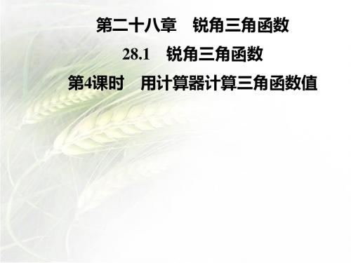 人教版九年级数学下册第二十八章28.1第4课时 用计算器计算三角函数值