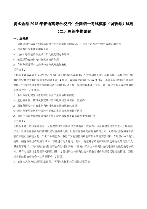 【全国省级联考】衡水金卷2018年普通高等学校招生全国统一考试模拟(调研卷)试题(二)理综生物试题(解析