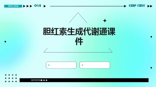 胆红素的生成代谢通用课件