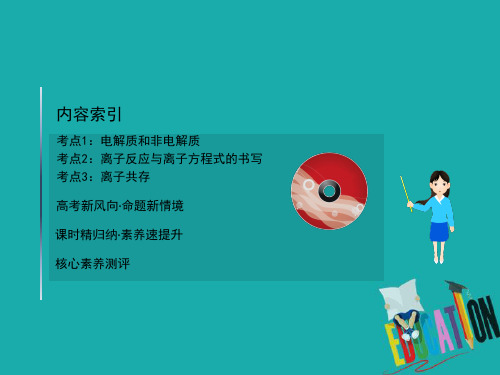 2021版化学名师讲练大一轮复习鲁科新高考地区专用版课件：2.2 电 解 质 