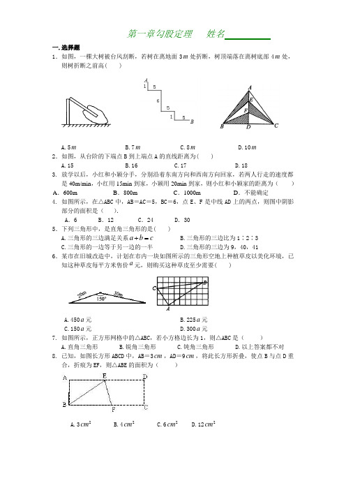 八年级数学勾股定理全章复习与巩固(基础)巩固练习