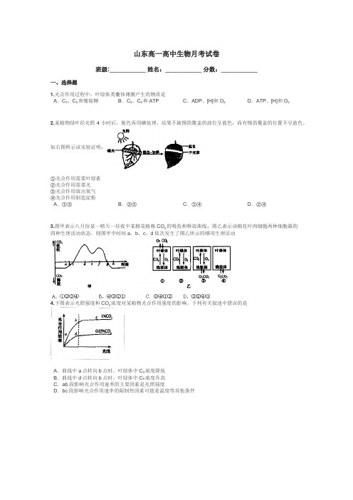 山东高一高中生物月考试卷带答案解析