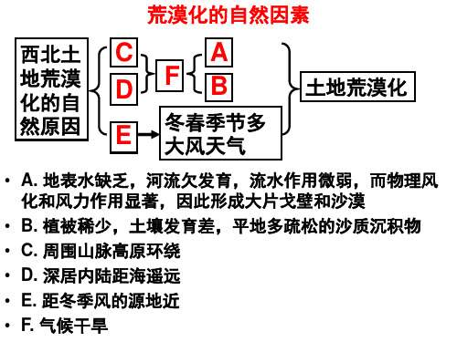 荒漠化的防治课时2ppt课件