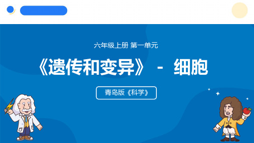 2024年秋青岛版六年级科学上册 1.《细胞》教学课件