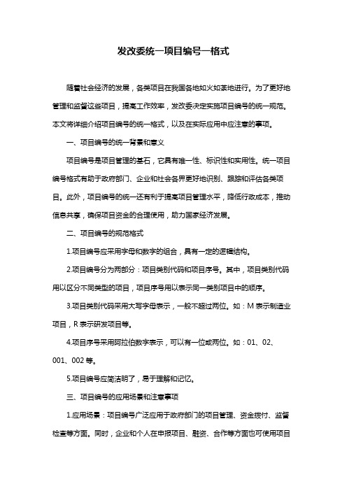 发改委统一项目编号一格式