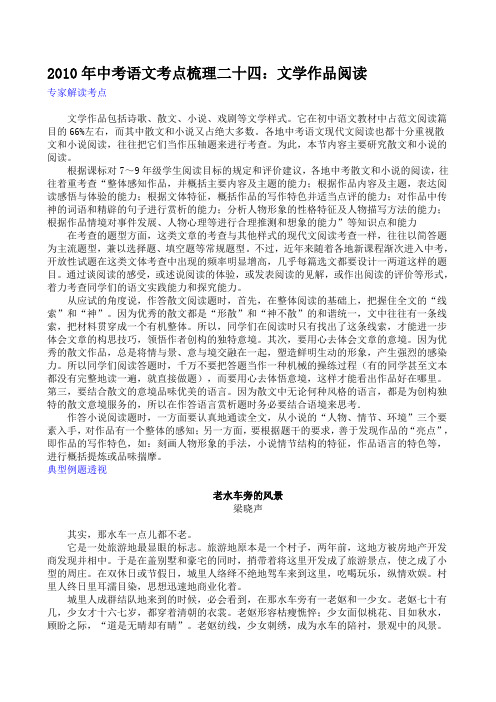 2010年中考语文考点梳理二十四文学作品阅读