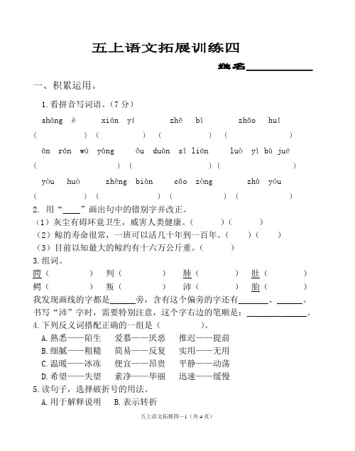 五上语文拓展四
