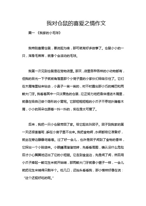 我对仓鼠的喜爱之情作文