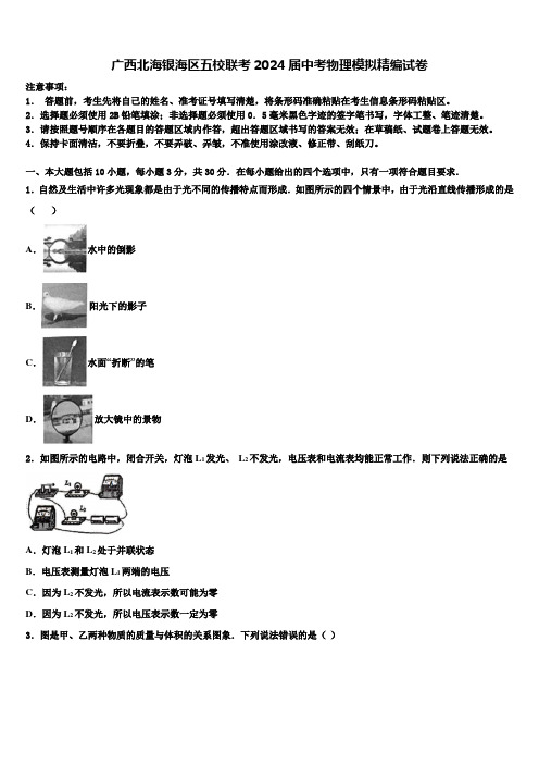 广西北海银海区五校联考2024届中考物理模拟精编试卷含解析